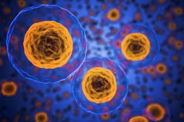 Як адбываецца працэс пахудання